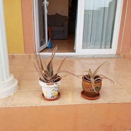 Dam Apartment *